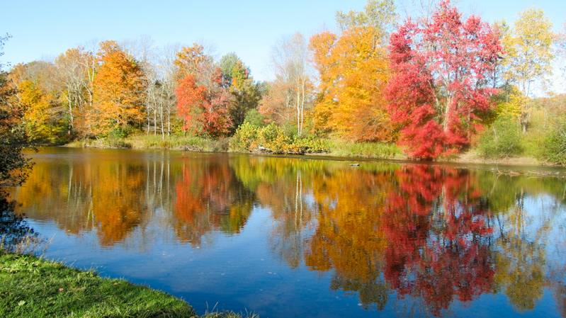 Neversink River in fall, photo © Ruth McKeon